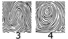 Fingerprint patterns 3 and 4
