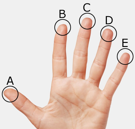 Hand with fingertips labelled