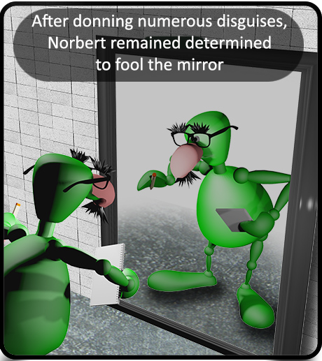 Mirror